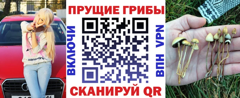 Псилоцибиновые грибы Psilocybe Нолинск