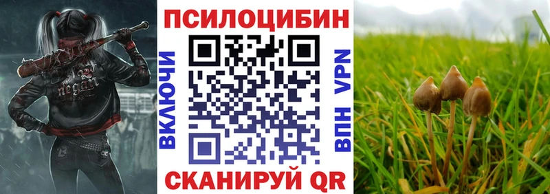 Галлюциногенные грибы прущие грибы MEGA ссылка Нолинск